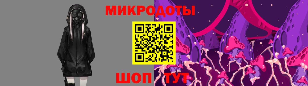 Галлюциногенные грибы Psilocybe Лосино-Петровский
